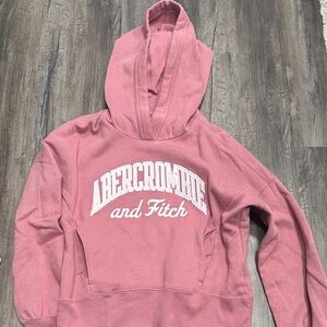 Abercrombie & Fitch Dusty Rose Logo Hooded Sweatshirt